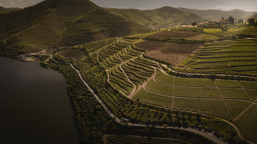 Paisagem em socalcos que simboliza rotas, direção e visão estratégica na comunicação da 4 Ventos.